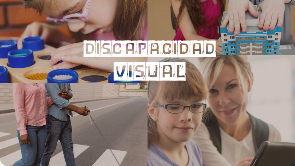 discapacidad visual